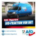 AfD Landtag