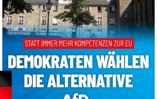 Demokraten für die AfD