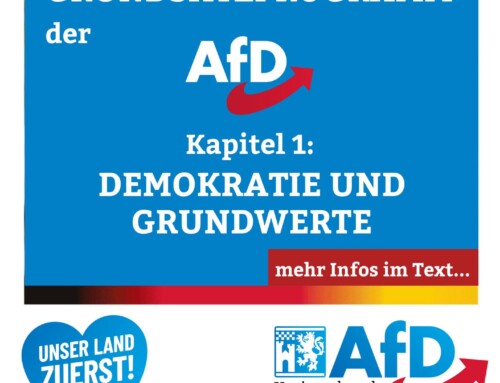 Das Grundsatzprogramm der AfD Teil 1