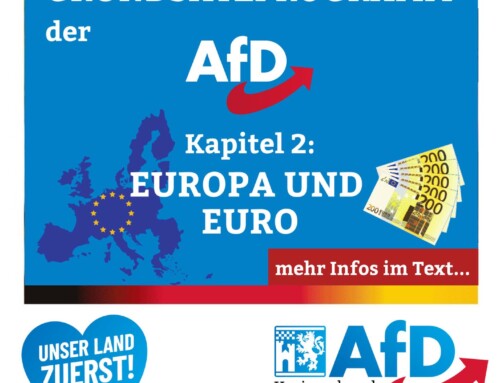 Grundsatzprogramm der AfD Teil 2