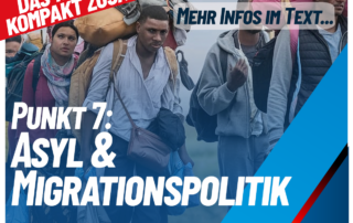 afd Bundestagswahlprogramm Asyl und Emigrationspolitik