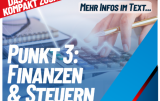 Bundestagswahlprogramm 2025, Punkt 3, Finanzen und Steuern