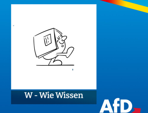 Die Ausschüsse im Stadtrat.