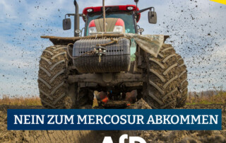 Nein zum Mercosur Abkommen